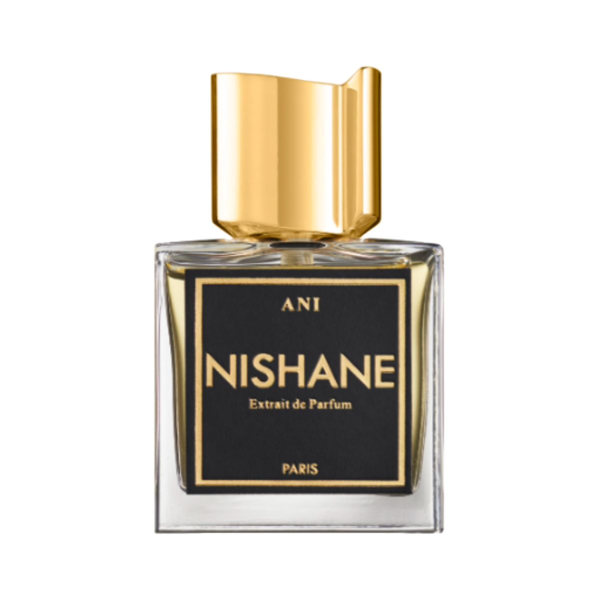 NISHANE ANI